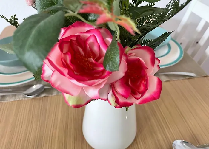 Beautiful 3 Bd. In Centre La Laguna (Tenerife)